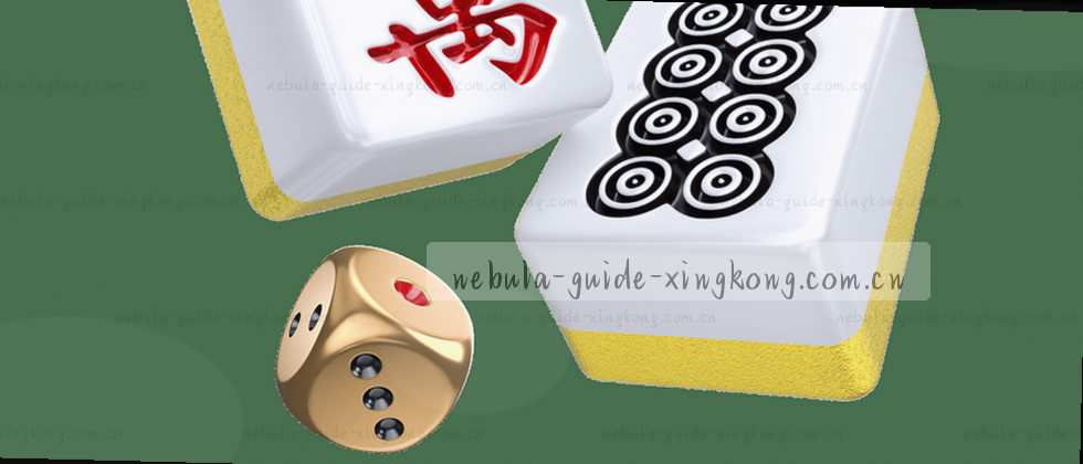 隐私政策与数据权益说明